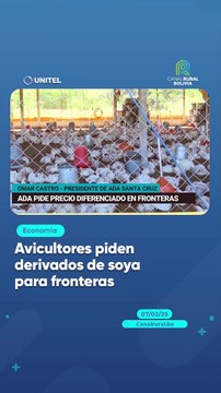 Avicultores piden derivados de soya para fronteras