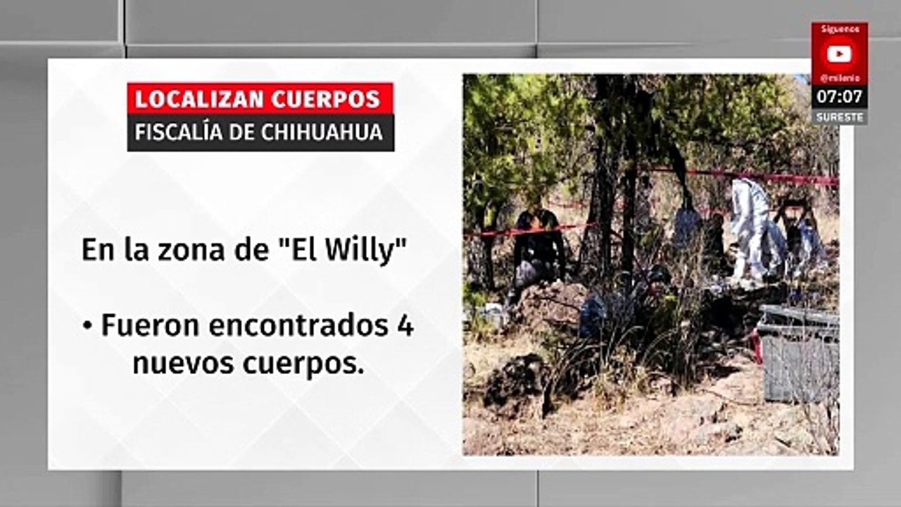 Hallan cuatro cuerpos más en fosas clandestinas...