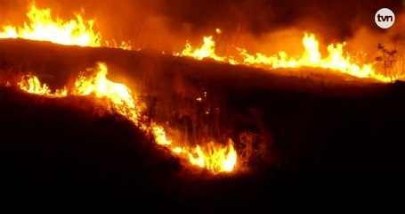 Incendio en herbazal cerca de la Policlínica de San Cristóbal generó alarma en la comunidad