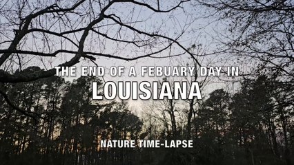 The End of a Febuary Day in Louisiana (Time-Lapse)