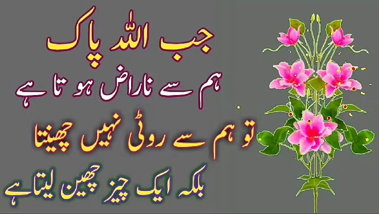 Allah Naraz Hota Hai💯! Best Urdu quotes🔥! Urdu Islamic quotes🔥! Islamic YouTube💥! ISLAMIC URDU MEWAT