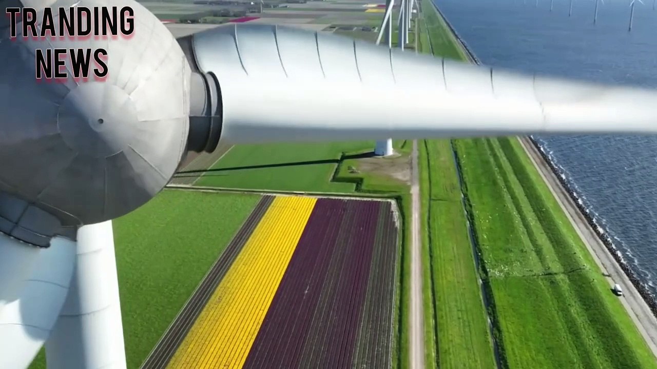 Octopus Energy launches platform for customers to invest in wind turbines with £25 - what are the risks?