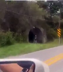 Darwin Award Nominee oops