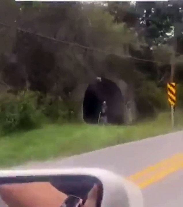 Darwin Award Nominee oops