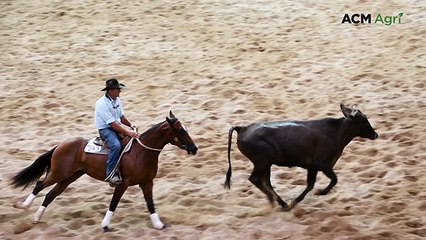 Oneofakind Bad Janey is knocked down for six figures