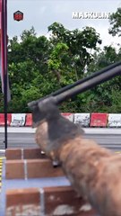 Who's Your Bro: Mimpi Buruk Bros Kembali?