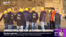 Agriculteurs: la Coordination rurale remporte 14 chambres agricoles