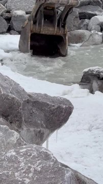 Bird Stuck in Water Is Rescued by Placing It in Excavator's Bucket