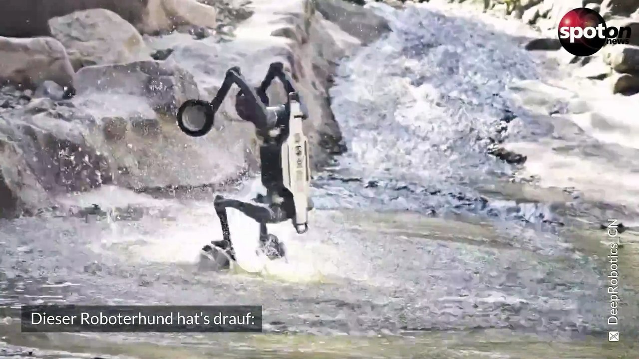 Roboterhund Lynx begeistert mit unglaublichen Tricks