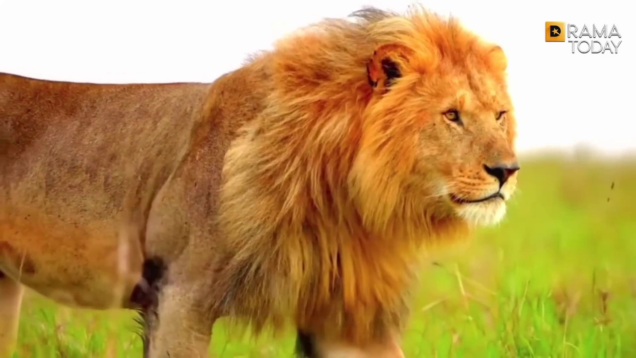 THE DECISIVE _ JASON STATHAM _ Full Action Movie 2025 _ New Movie _ 🔥🔥 | High-Energy Action Thriller with Jaw-Dropping Stunts & Explosive Sequences | Full HD 4K Premiere