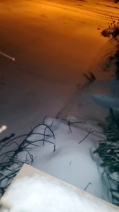Snow