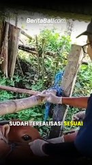 Target Vaksin Bulan Januari di Bangli Tercapai Seratus Persen