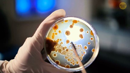 Why the Titanic Was So Hard to Find