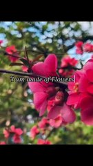 " A Journey through Nature "