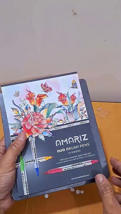 Doms Amariz Duo Brush Pen 14 Shades in Tin Pack,New Brush Pens for Kids