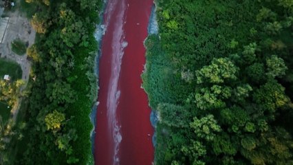 El 'río de sangre' que preocupa a los vecinos de Buenos Aires por su olor y color