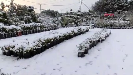 Beton ormanı İstanbul'dan kar manzaraları: Şehrin bir kısmı bembeyaz!