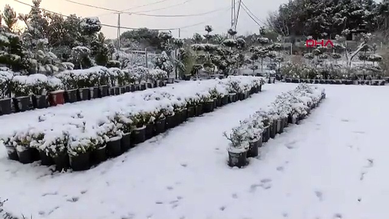 Beton ormanı İstanbul'dan kar manzaraları: Şehrin bir kısmı bembeyaz!