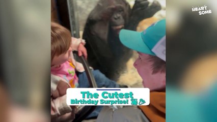 Adorable & Hilarious Animal Moments You Can’t Miss!