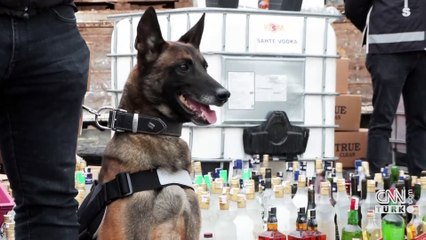 Son Dakika | Ankara Valisi Şahin duyurdu: Ankara'da sahte içkiden 33 can kaybı