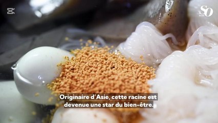 Le konjac : le nouvel ingrédient faible en calories qui affole nos assiettes.