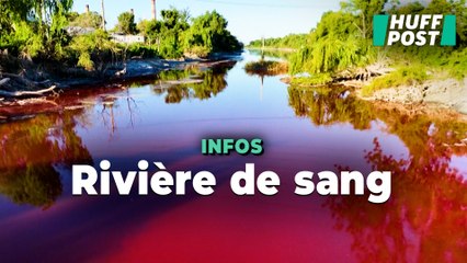 À Buenos Aires, ce ruisseau qui a viré couleur rouge carmin inquiète les habitants
