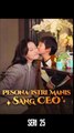 Seri 25 / 80 - Pesona Istri Manis Sang CEO - Serial Drama China