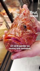 Cette poissonnerie conserve le poisson… sans glace