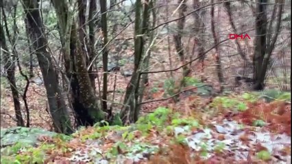 Serdar Arslan’ın katili ortağı çıktı: 2 gün önce cinayet toplantısı yapmışlar!