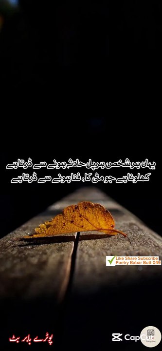Yahan har shakas  ... Urdu sad poetry shayari status