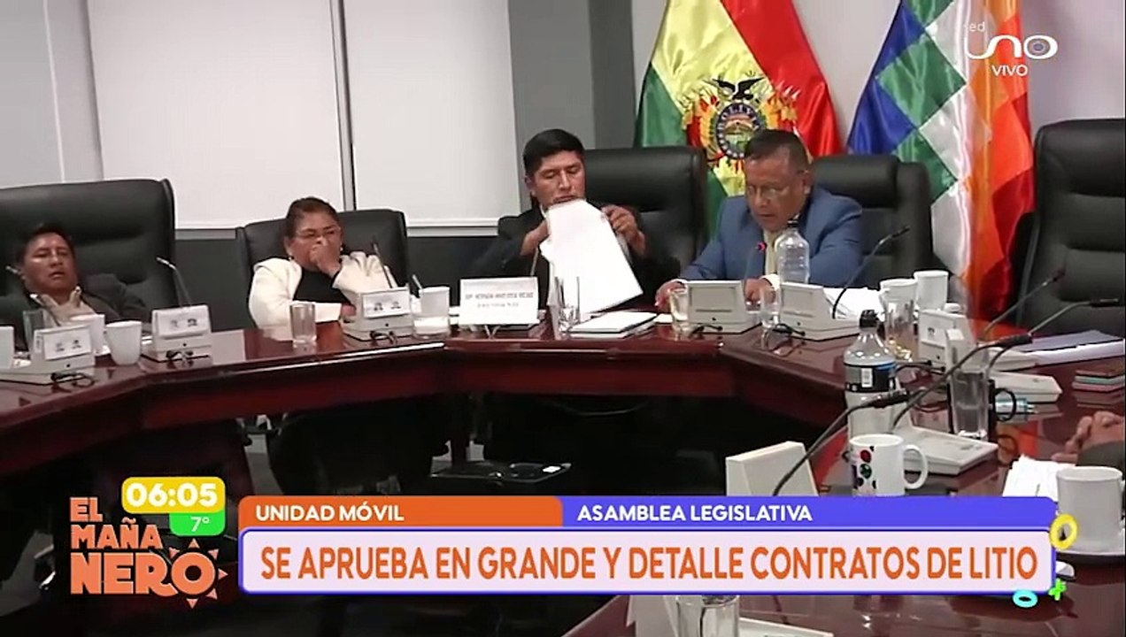 Asamblea por litio