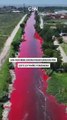 VIDEO: ¿Contaminación o fenómeno natural? Un arroyo amaneció teñido de rojo en Argentina