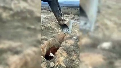 Çaresizce kurtarılmayı bekledi