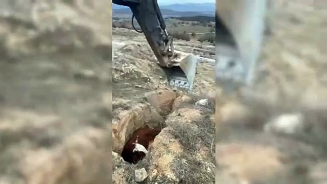 Çaresizce kurtarılmayı bekledi