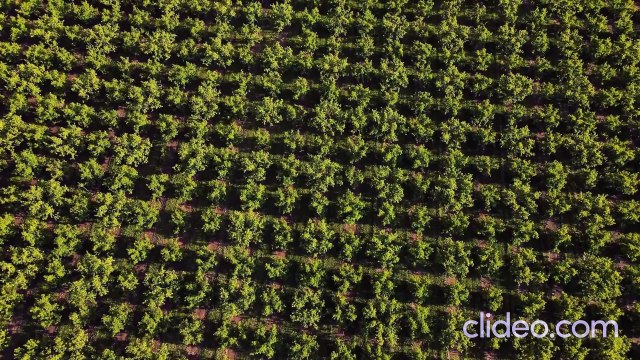 13779169-uhd-3840-2160-60fps_OhJAwRQN