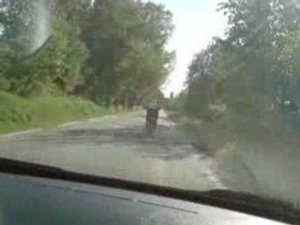 top rose stock mhr  digi r1400 24do v force keisler mhr over