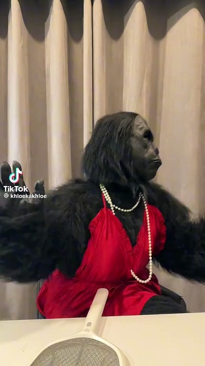 Funny🤣video🤣😜😜😜