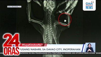 Pusang nabaril sa Davao City, inoperahan | 24 Oras