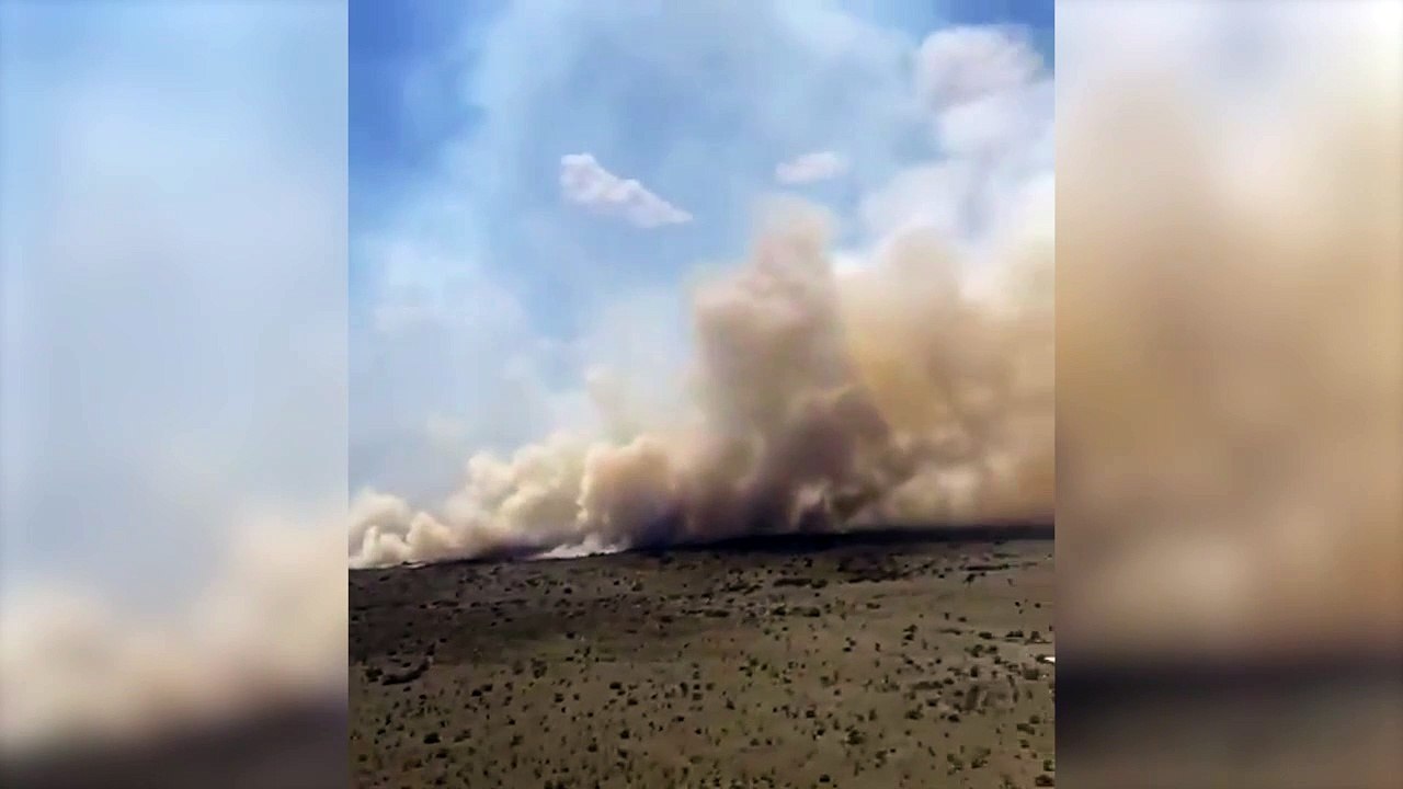 Ya se quemaron más de 20 mil hectáreas en Corrientes por los incendios