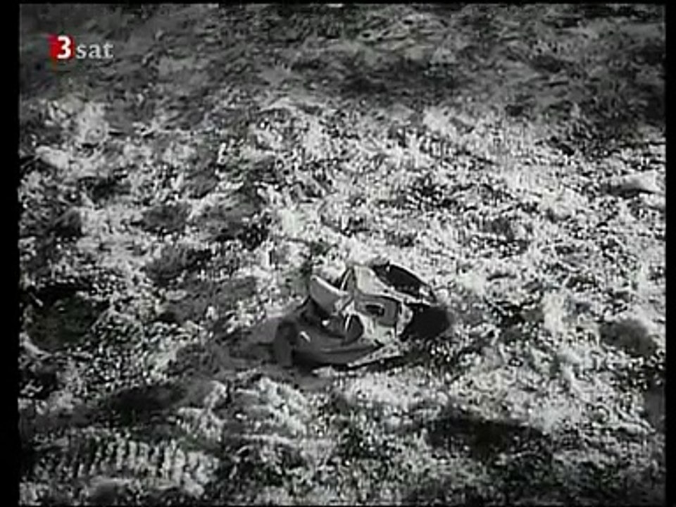 Die Ratten (1955)