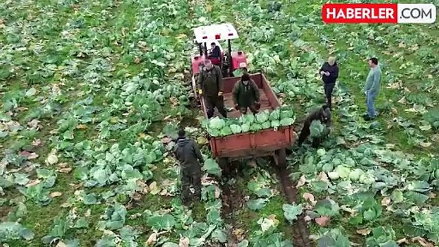 2.1 milyar liralık tarımsal destekleme ödemesi çiftçilere aktarılacak