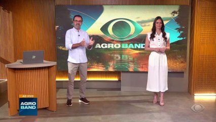 Como é feita a Kombucha, bebida chinesa conquista os brasileiros