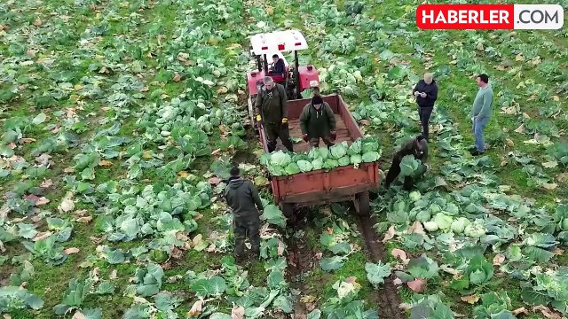 2.1 milyar liralık tarımsal destekleme ödemesi çiftçilere aktarılacak