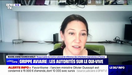Grippe aviaire: les autorités françaises appellent à la vigilance