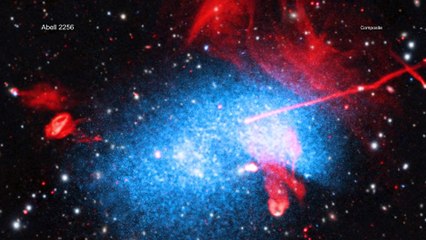Telescopes Paint Stunning View Of Galaxy Cluster With Black Hole Jets