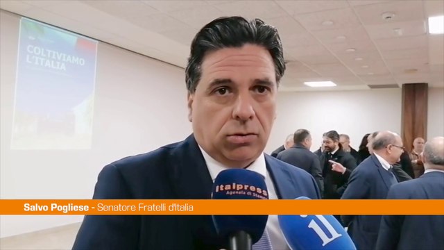 Pogliese Il governo Meloni è al fianco degli agricoltori