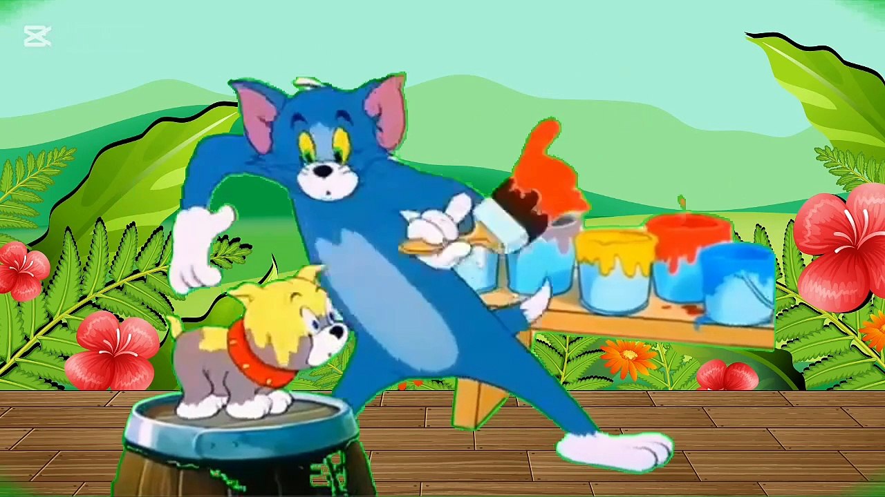 Tom and Jerry @Animal Lover