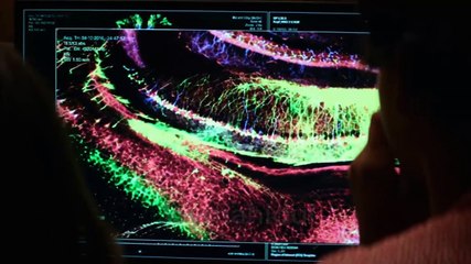 Flatliners Movie Explained in Joymahidul, Flatliner Movie Summarized