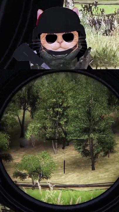 Le faceplant !