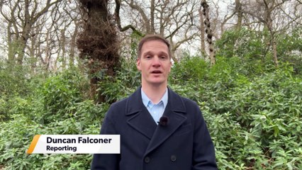 Favourite classic dishes and how they can be adapted